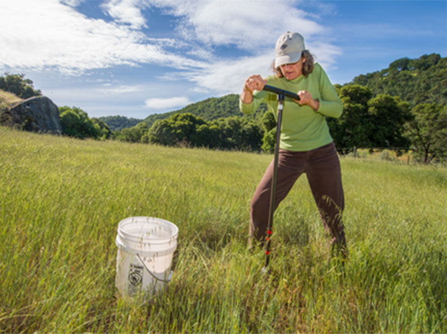 Scientist in a field uses a soil corer to collect samples, with a white bucket nearby and rolling hills in the background.